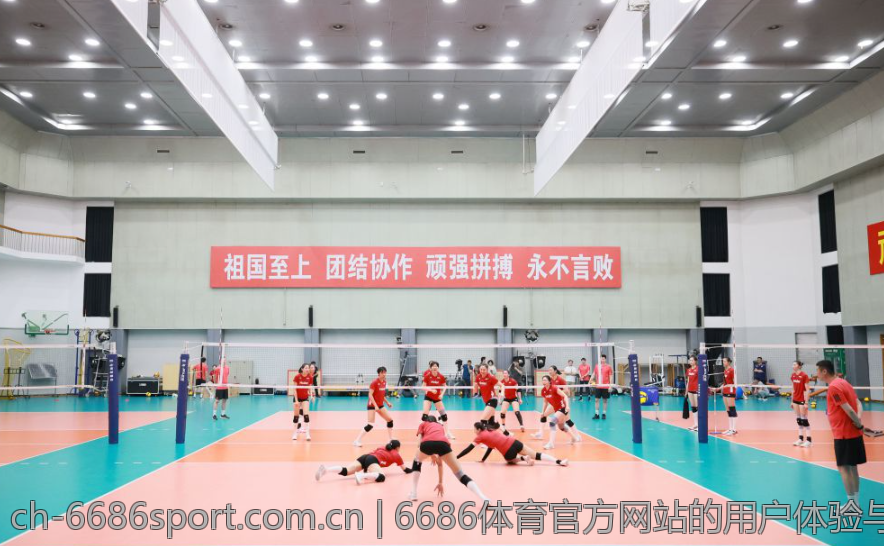 6686体育官方网站的用户体验与互动方式